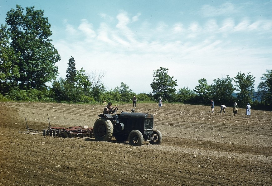 Farmers suffer in the face of mounting war needs